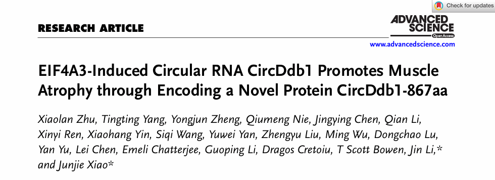 7A8532AC0B882C18A435C39174F_44838E22_68DF