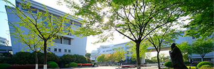 金沙娱场城8303(中国)有限公司官网